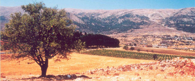 Landskapet.