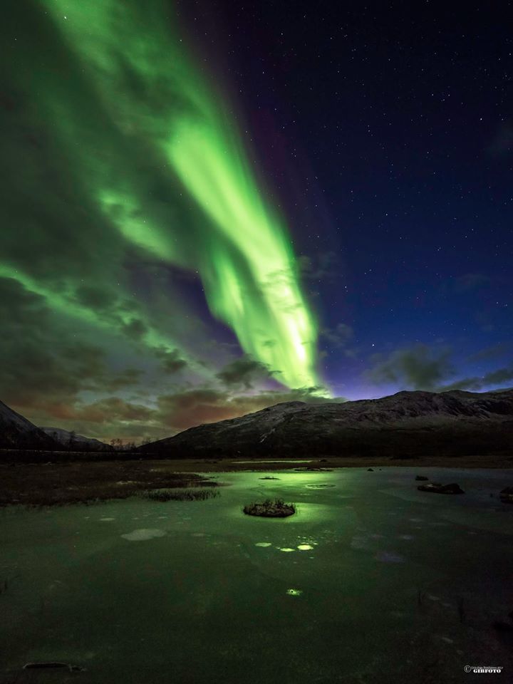 Foto Geir-Inge Buschmann.