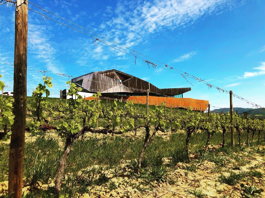 Aroa Bodegas – Navarra på sitt mest naturlige