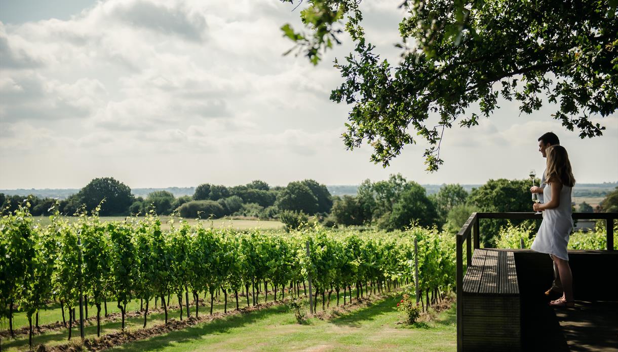 Ung produsent med store viner