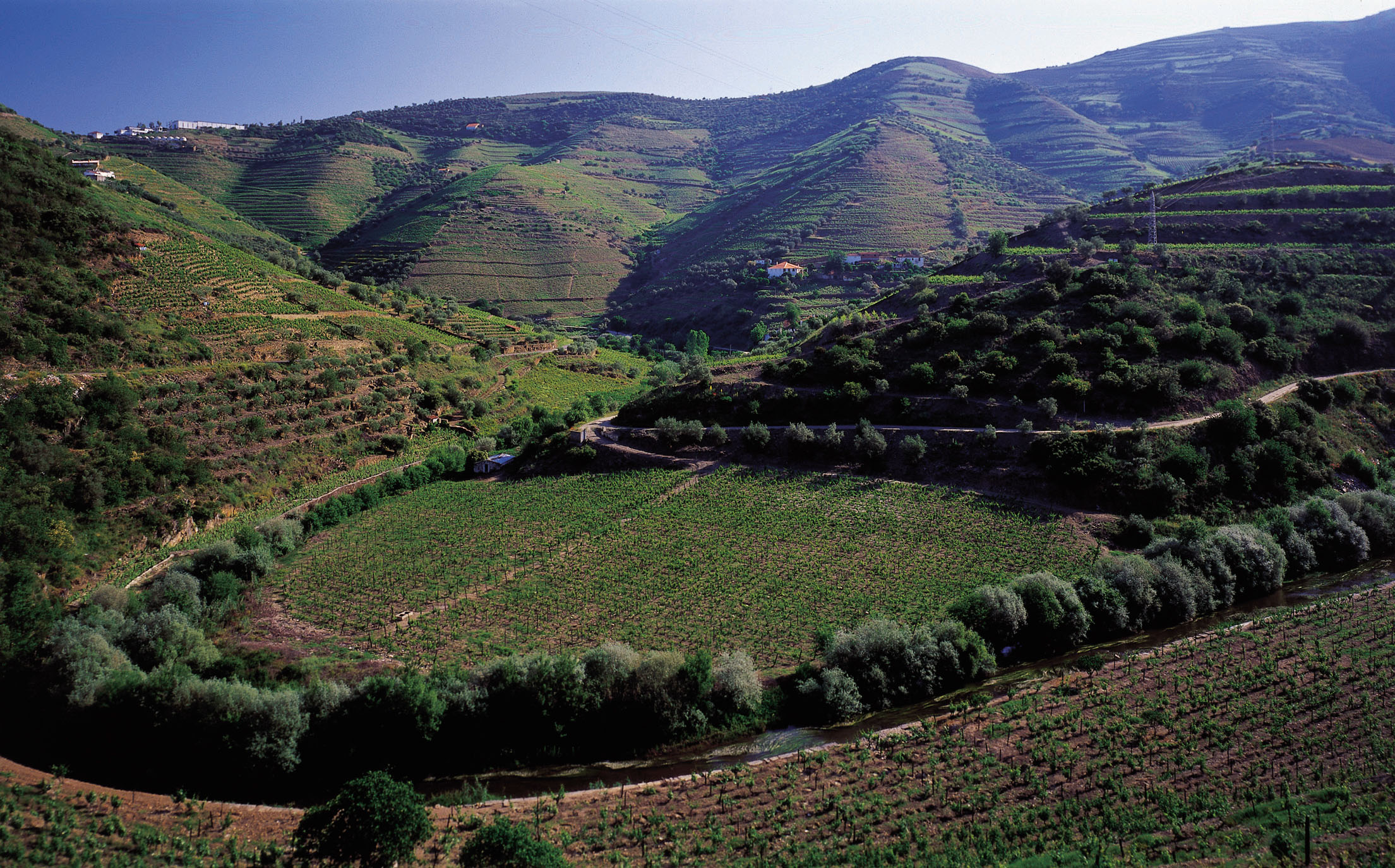 Modnet til sammen ti år